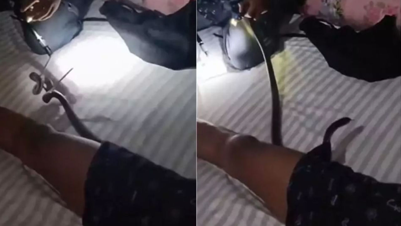 Viral Video: ఓర్నీ.. నిద్రపోతున్న బాలుడి డ్రాయర్‌లోకి దూరిన పాము.. ఆ తర్వాత..
