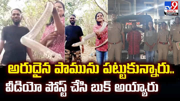 అరుదైన పామును పట్టుకున్నారు.. వీడియో వైరల్ చేసి బుక్ అయ్యారు అరుదైన పామును పట్టుకున్నారు.. వీడియో వైరల్ చేసి బుక్ అయ్యారు