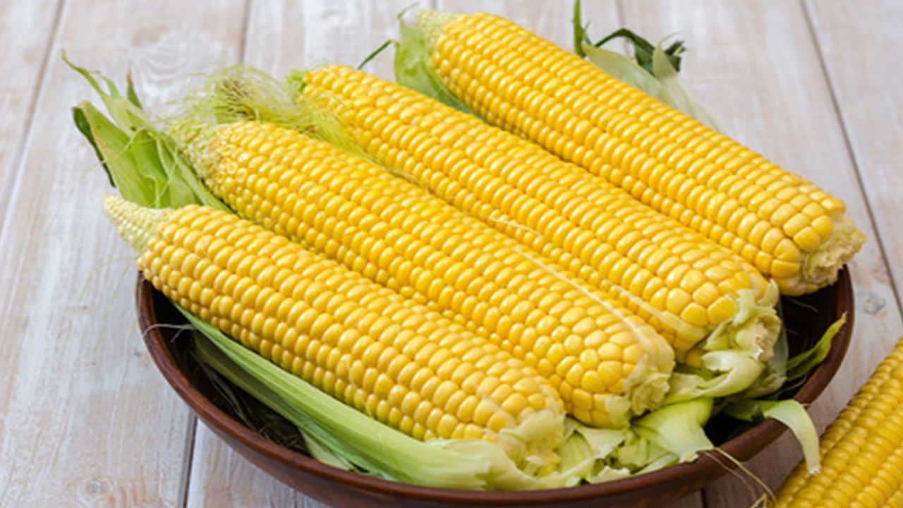 స్వీట్కార్న్ అంటేనే ఫైబర్కు చిరునామాగా చెబుతారు. మలబద్ధకం, పైల్స్తో బాధపడుతున్న వారికి ఈ స్వీట్కార్న్ మంచి పరిష్కారం లభిస్తుంది. తియ్యటి మొక్కజొన్నల్లో యాంటీ ఆక్సిడెంట్లు పెద్ద మొత్తంలో ఉంటాయి. ఇవి క్యాన్సర్కు కారణమయ్యే ఫ్రీరాడికల్స్ను నిర్మూలిస్తాయి. ముఖ్యంగా బ్రెస్ట్, లివర్ క్యాన్సర్కు చెక్ పెట్టడంలో యాంటీ ఆక్సిడెంట్స్ కీలక పాత్ర పోషిస్తాయి. స్వీట్ కార్న్ తింటే ఎసిడిటీ సమస్య నుంచి ఉపశమనం లభిస్తుంది. స్వీట్ కార్న్ తీసుకోవడం వల్ల మలబద్ధకం, గ్యాస్, ఎసిడిటీ సమస్యలు కూడా నయమవుతాయి.