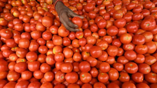 Watch Video: 2 నెలల తరువాత సముద్రంలో చేపలవేటకు మత్స్యకారులు.. మొగదారమ్మకు ప్రత్యేక మొక్కులు..