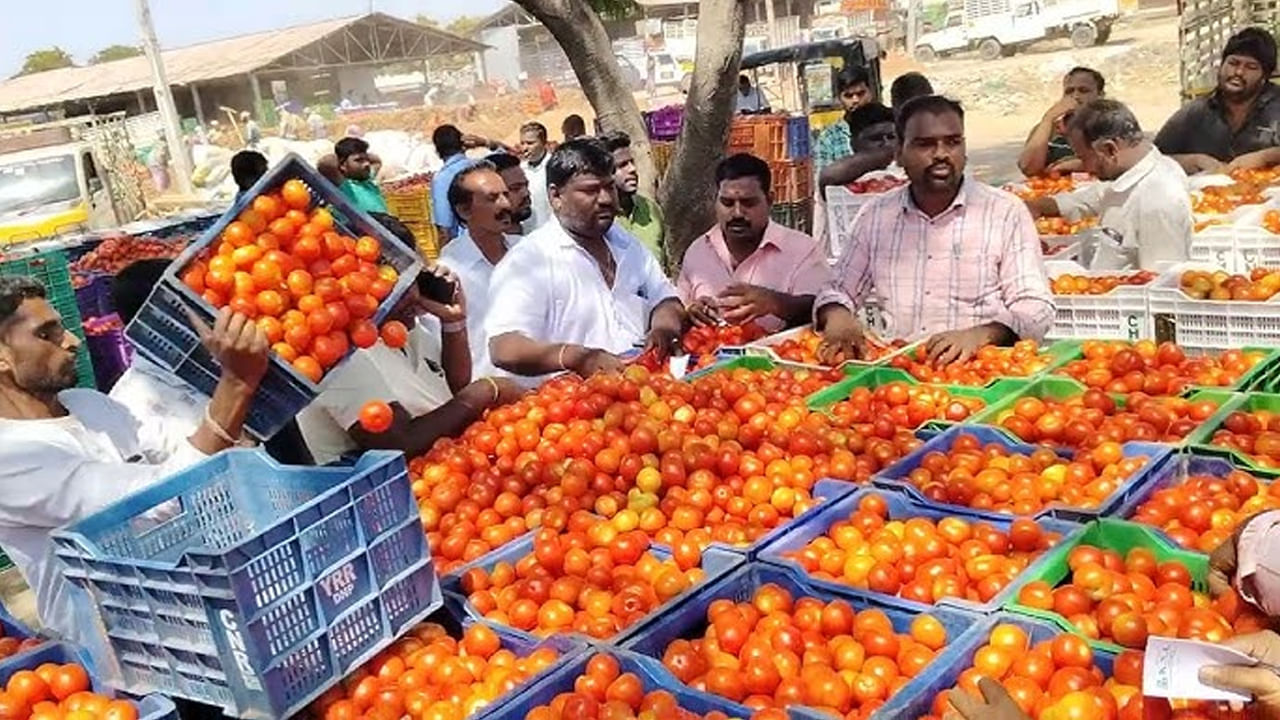 Andhra Pradesh: ఏపీ ప్రజలకు గుడ్ న్యూస్.. టమాట ధరల పెరుగుదలకు ప్రభుత్వం చెక్