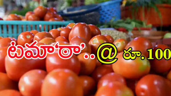 Tomato Price: వంటింట్లో టమాట మంటలు.. మరో వారం రోజుల్లో కిలో రూ.200కు చేరే ఛాన్స్!