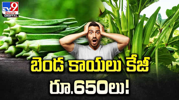 ఆకాశాన్నంటుతున్న కూరగాయల ధరలు.. బెండ కాయలు కేజీ రూ.650లు ఆకాశాన్నంటుతున్న కూరగాయల ధరలు.. బెండ కాయలు కేజీ రూ.650లు