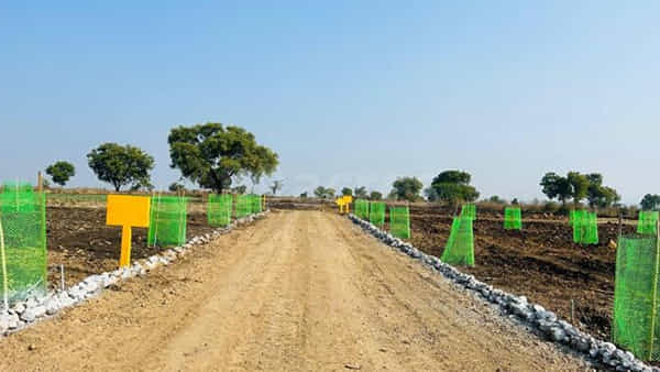 Telangana: వెంచర్ను నుంచి అదో రకమైన వాసన.. పోలీసులు వచ్చి చెక్ చేయగా.. వామ్మో