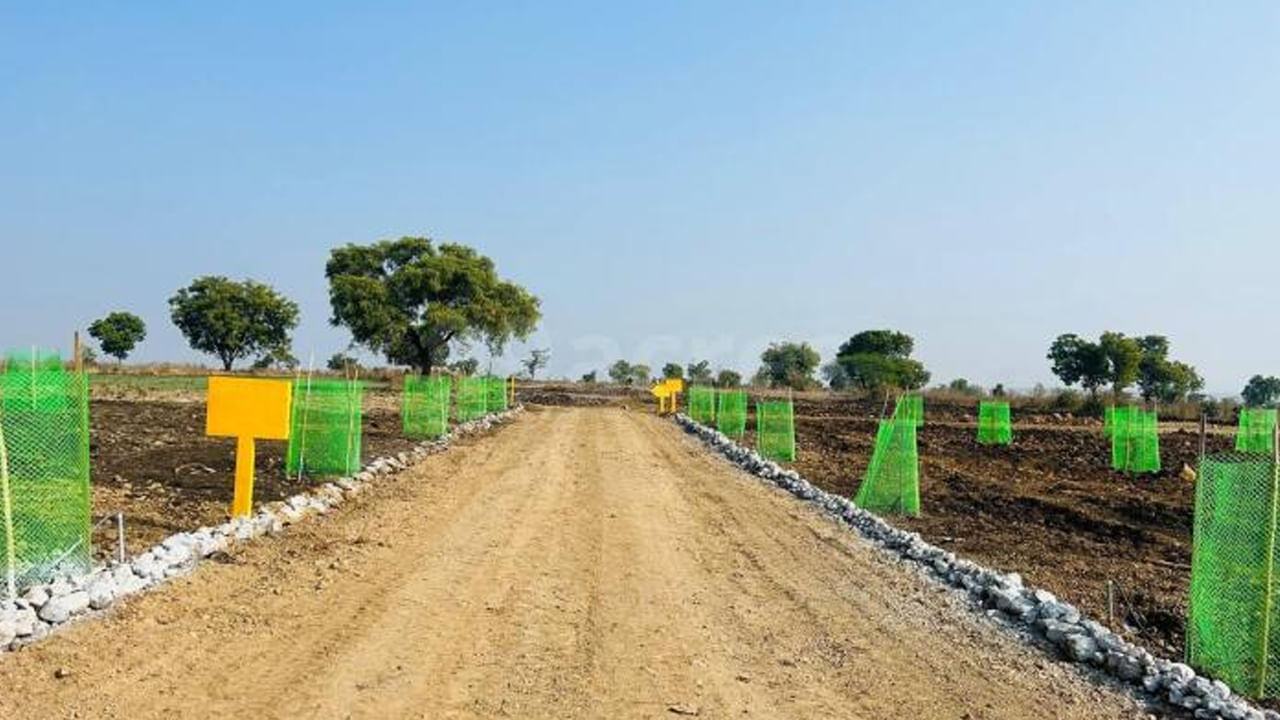 Telangana: వెంచర్ను నుంచి అదో రకమైన వాసన.. పోలీసులు వచ్చి చెక్ చేయగా.. వామ్మో