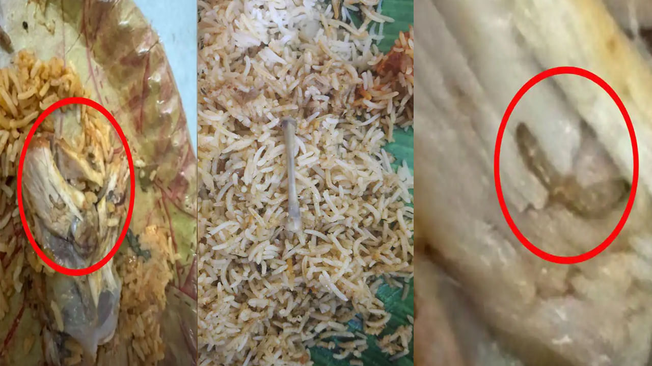 Viral News: రెస్టారెంట్ బిర్యానీ ఇష్టం అంటూ తెగ లాగించేస్తున్నారా.. జాగ్రత్త సుమా.. ఆర్డర్ పెట్టిన చికెన్లో పురుగు