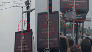 Viral Video: ఓ మై గాడ్.. ఇంత టాలెంటెడ్‌గా ఉన్నవేంట్రా.. కింగ్ కోబ్రా ముందు కుప్పిగంతులా..