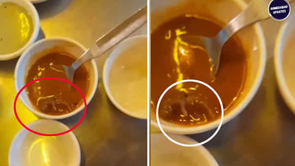 Viral Video: బయట ఫుడ్ తింటున్నారా జర ఆలోచించండి సాంబార్లో చచ్చిన ఎలుక.. వైరల్ వీడియో