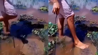 Photo Puzzle: మావా ఖతర్నాక్ పజిల్ ఇది.! ఈ ఫోటోలోని తప్పును గుర్తిస్తే.. మీరే తెలివైనవారు