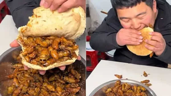 Viral Video: నువ్ మనిషివా.. మ్యాన్హోల్వా.. పురుగులతో బర్గర్ ఏంట్రా సామీ.. వీడియో చూస్తే