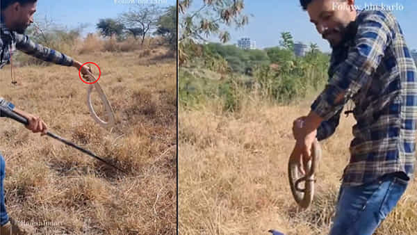 Viral Video: ఉన్నట్టుండి చేతిపై కాటేసిన పాము.. పట్టుకోబోతుండగా ఊహించని షాక్.. ఆ తర్వాత ఇది సీన్