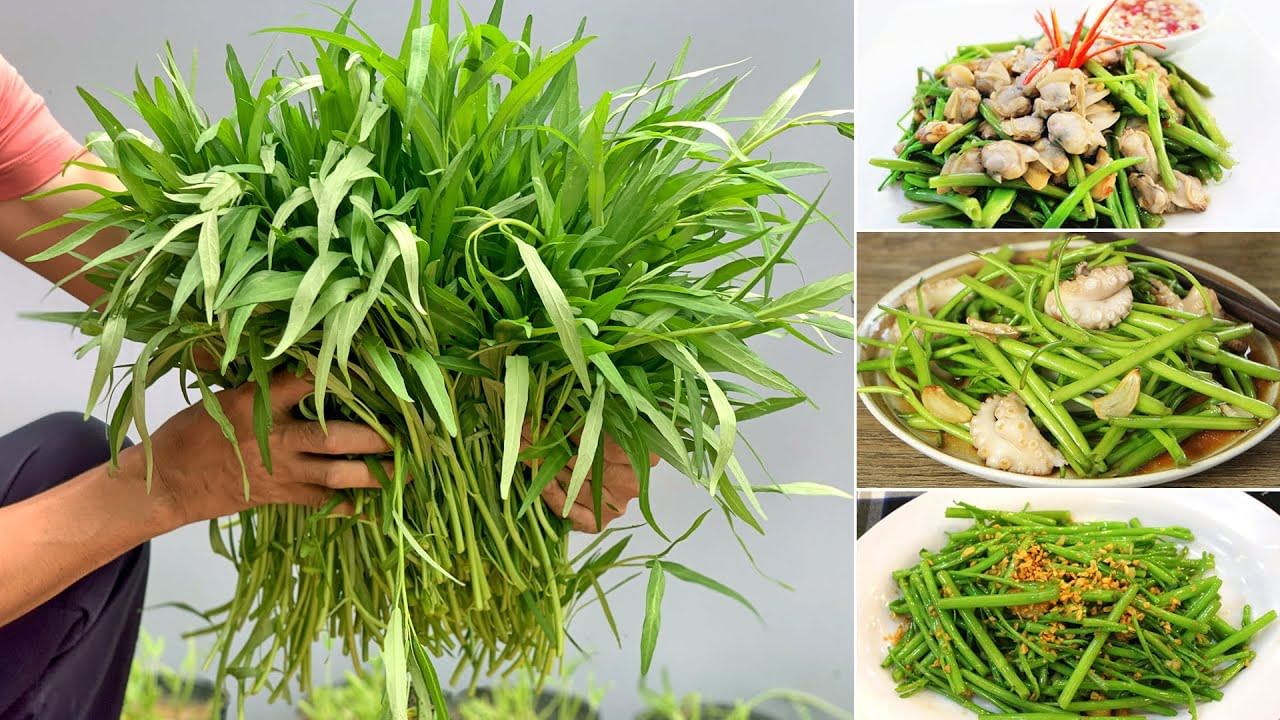 Water Spinach: ఈ నీటి పాలకూర ఎక్కడ కనిపించినా.. విడిచి పెట్టకుండా
