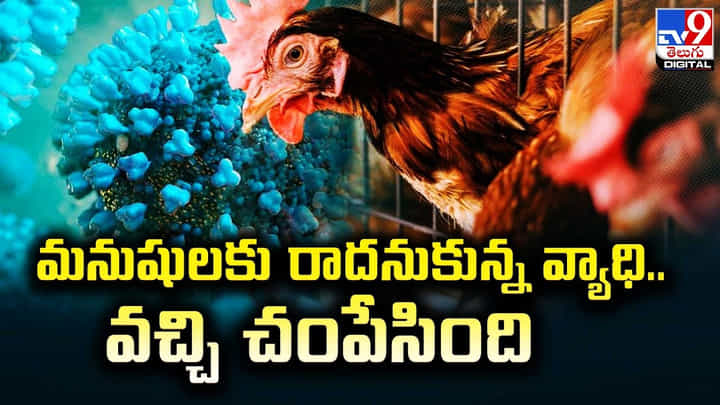 Bird Flu: మనుషులకు రాదనుకున్న వ్యాధి.. వచ్చి చంపేసింది. Bird Flu: మనుషులకు రాదనుకున్న వ్యాధి.. వచ్చి చంపేసింది.