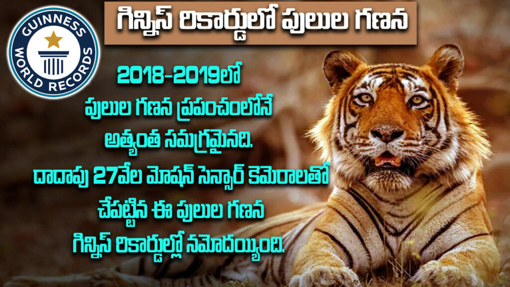 International Tiger day 2024
