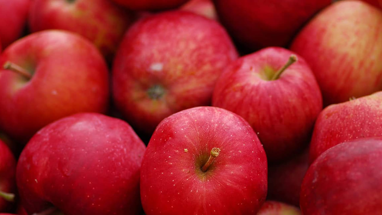 ఆపిల్ పండు తెలియని వారు ఉండరు. ఎర్రగా నిగనిగలాడుతూ అందరినీ ఆకర్షిస్తుంది ఆపిల్. ఇది ఆరోగ్యం కాపాడటంలో కూడా అనేక రకాలుగా ఉపయోగపడుతుందని చెబుతారు వైద్యనిపుణులు. ఇందులోని యాంటీఆక్సిడెంట్స్ శరీరంలో పేరుకున్న కొవ్వును కరిగించడంలో దోహదపడుతుంది.