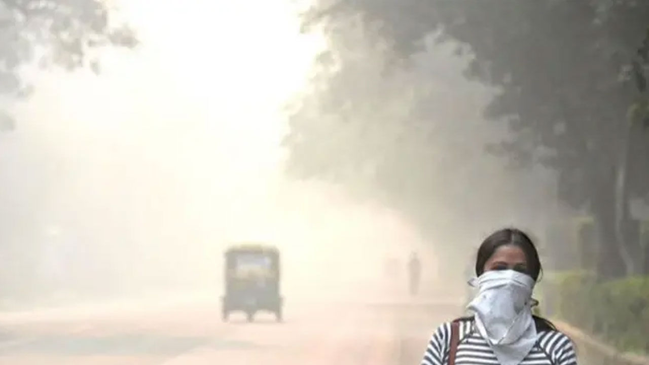 దక్షిణ భారతదేశంలో కంటే ఉత్తరాది రాష్ట్రాలకే వాయుకాలుష్యం ముప్పు అధికం అని తెలిసింది. ఈ అధ్యయనంలో భాగంగా దాదాపు దేశంలోని 10 ప్రముఖ నగరాల్లోని పీఎం కాలుష్య రేణువులను పరిశీలించారు. అవి ప్రపంచ ఆరోగ్య సంస్థ నిర్ధేశించిన వాటికంటే అధికంగా నమోదవుతున్నట్లు తెలిసింది.