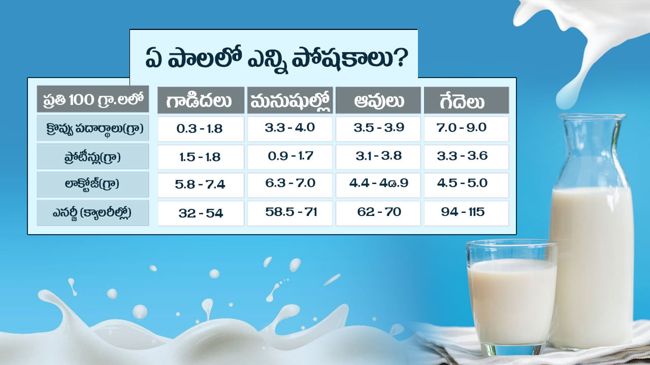 Gross Composition of Milks of Donkey, Human, Cow and Buffalo