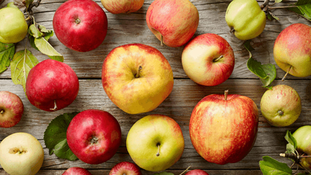 అలా చేయడం వల్ల చాలా బ్యాక్టీరియాను నష్టపోయిన వాళ్లవుతామంటున్నారు పరిశోధకులు. ఇదంతా మంచి బ్యాక్టీరియా అని, శరీరంలో చెడు బ్యాక్టీరియాను నియంత్రించి ఆరోగ్యకరంగా ఉంచడంలో చాలా బాగా పనిచేస్తుందని అంటున్నారు.