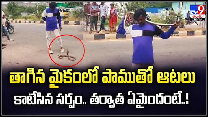 Man vs Snake: తాగిన మైకంలో పాముతో ఆటలు.. కాటేసిన సర్పం.! తర్వాత ఏమైందంటే..! Man vs Snake: తాగిన మైకంలో పాముతో ఆటలు.. కాటేసిన సర్పం.! తర్వాత ఏమైందంటే..!