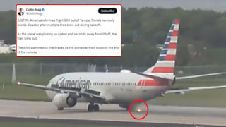 Viral video: పోలీస్‌ స్టేషన్‌పైకి ఎక్కి ఎద్దు పహారా..! భయంతో హడలెత్తిపోయిన ఖాకీలు.. వీడియో