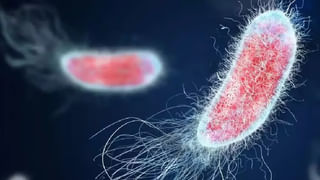 Odisha: ఒడిశాలో మరో రైలు ప్రమాదం..! పట్టాలు తప్పిన గూడ్స్‌ రైలు.. రెండు బోగీలు పక్కకు జరగటంతో..