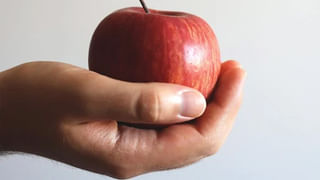 Leftover Idli Recipes: ఇడ్లీలు మిగిలిపోయాయా..! ఇలా టేస్టీగా మసాలా ఇడ్లీలు తయారు చేసుకోండి.. రెసిపీ మీ కోసం..