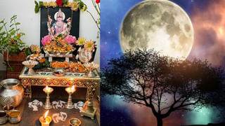 Bhadrakali Temple: శాకాంబరీ ఉత్సవాలు అంటే ఏంటి..? ఆషాడంలోనే ఈ ఉత్సవాలు ఎందుకు నిర్వహిస్తారో తెలుసా..!