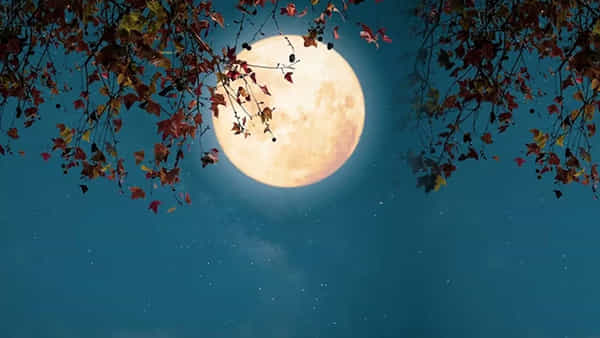 Guru Purnima: గురు పౌర్ణమి ఎప్పుడు? జూలై 20నా లేక 21నా ? చంద్రోదయ సమయం ఎప్పుడు? పూజ, దానం ఎప్పుడు చేయాలంటే?
