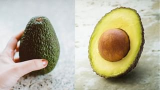 Coconut Oil for Skin: చర్మంపై వృద్ధాప్య ముడతలకు చెక్‌ పెట్టే అద్భుత ఆయిల్‌.. ఇలా వాడారంటే నవయవ్వనం మీ సొంతం