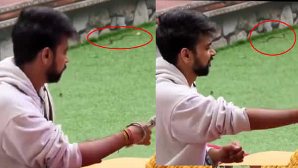 Bigg Boss 3: బిగ్బాస్ హౌస్లోకి అనుకోని అతిథి.. చూసుకోవాలి కదంటూ నెటిజన్స్ ఫైర్..