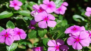 Travel Bloggers: ఇన్‌స్టాలో ఫాలోవర్స్ పెరగాలా..? ఆ ప్రదేశాల్లో బ్లాగింగ్ చేస్తే ఫాలోవర్స్ పెరగడం ఖాయం