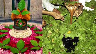 Chanakya Niti: శరీర ఆకృతిని బట్టి స్త్రీల వ్యక్తిత్వాన్ని తెలుసుకోవాలి.. అలాంటి స్త్రీలకు దూరంగా ఉండాలన్న చాణక్య