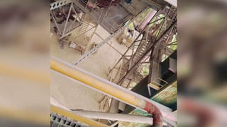 వర్షాల కోసం వినూత్న పూజలు ప్రార్థనలు.. వాన కోసం కప్పకు తప్పని తిప్పలు