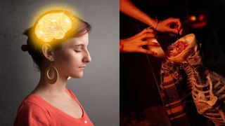 Dengue: దోమ కుట్టిన తర్వాత ఎన్ని రోజులకు డెంగ్యూ వస్తుంది.. నివారించడం ఎలా..?