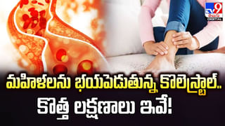 Watch Video: శ్రీవారి దర్శనానికి వెళ్లి.. ఆ పని చేస్తూ అడ్డంగా దొరికిపోయిన భక్తుడు..