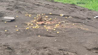 Visakhapatnam: స్టీల్ ప్లాంట్ ప్రైవేటీకరణ ఆగుతుందా? కేంద్రమంత్రి పర్యటన ఉద్దేశం ఏంటి?