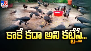 ట్రాఫిక్‌ సిగ్నల్‌ జంప్‌ చేస్తున్నారా ?? ఆ టైమ్ లో అయితే నో ఫైన్‌ ??