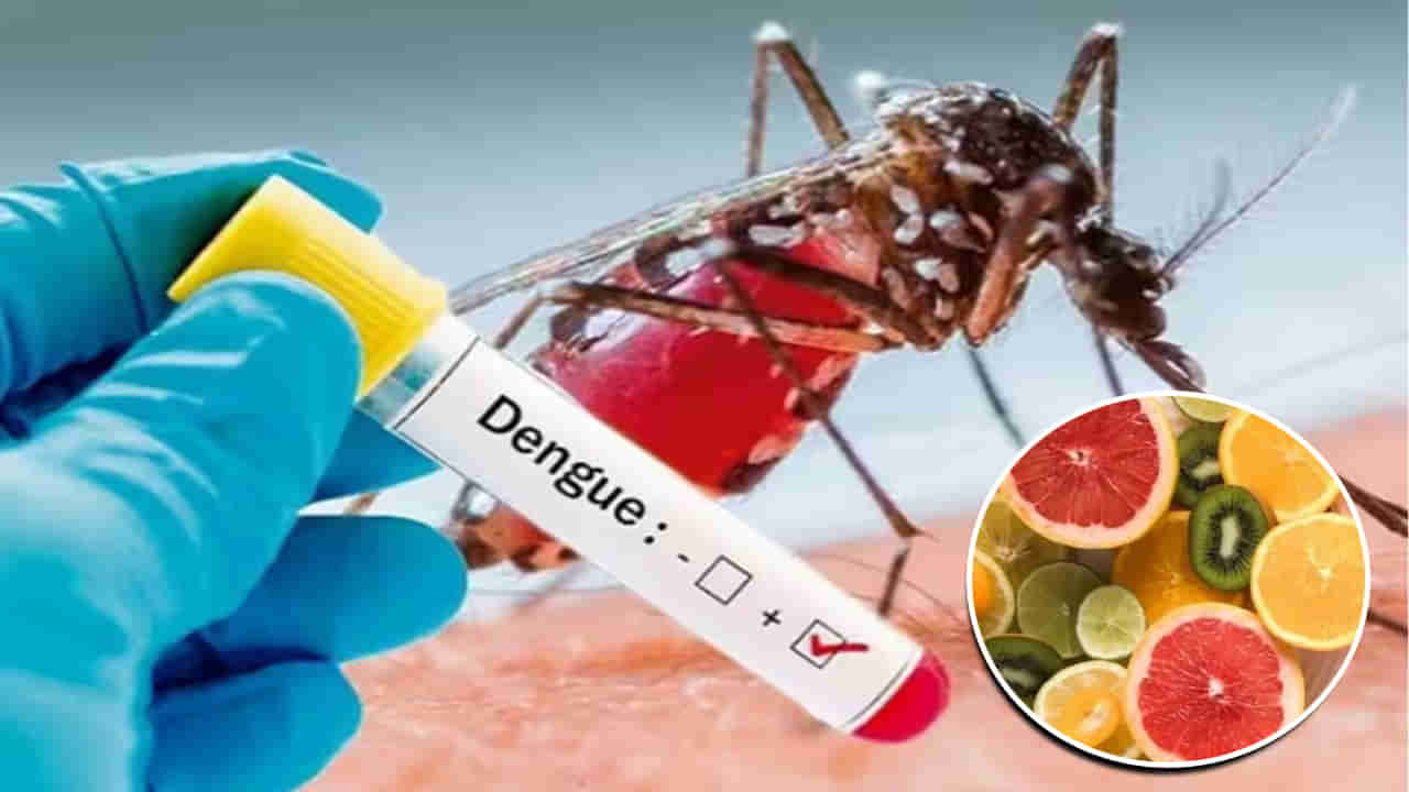 Dengue Fever: డెంగ్యూ జ్వరం ఉంటే ఏ పండ్లు తినాలి..? వారికి కొబ్బరి నీళ్లు మంచివేనా?