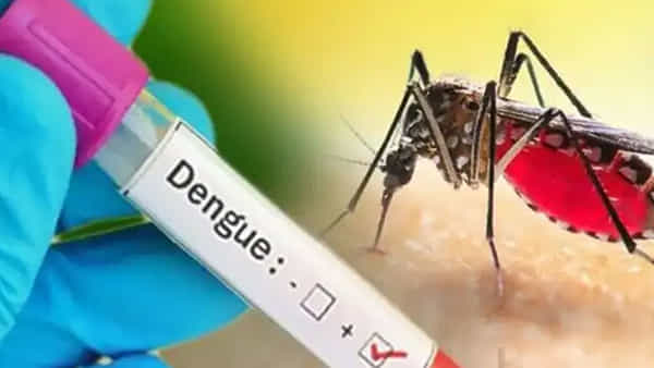 Dengue Fever: కర్నాటకలో 24 వేలకు పైగా డెంగ్యూ కేసులు.. హై అలెర్ట్ ప్రకటన.. హాట్స్పాట్లను గుర్తించాలని సూచన