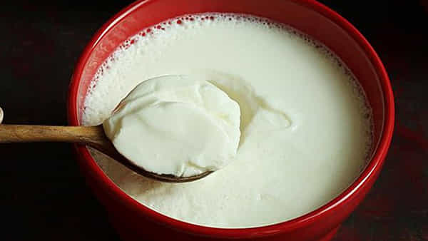 Curd: పెరుగులో ఉప్పు లేదా చక్కెర.. ఏది వేసుకుని తింటే మంచిది?