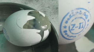 Telangana: వీధికుక్కల విషయంలో హైకోర్టు కీలక ఆదేశాలు.. అధికారుల పనితీరుపై ఆగ్రహం..