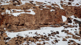 Viral Video: చైనాలో వింత ట్రెండ్.. పానీపురీతో లైవ్ ఫిష్ ని తింటున్న ప్రజలు.. నెట్టింట్లో వీడియో కలకలం