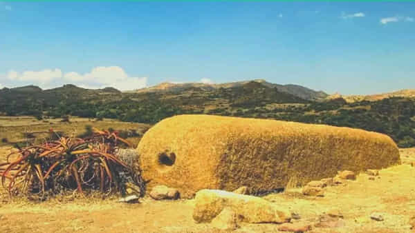 Photo Puzzle: హా.. ఇదిగో మీ రేంజ్ పజిల్... ఈ ఫోటోలో పాము ఎక్కడుందో కనిపెట్టగలరా