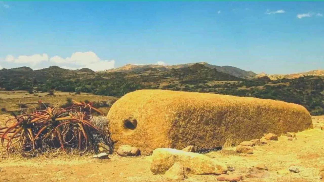Photo Puzzle: హా.. ఇదిగో మీ రేంజ్ పజిల్... ఈ ఫోటోలో పాము ఎక్కడుందో కనిపెట్టగలరా