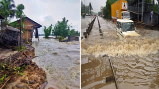 ఒక్కరు.. ఇద్దరు కాదు.. భర్తలను మార్చడంలో ఆఫ్ సెంచరీ కొట్టిన మాయలేడీ.. లిస్ట్‌లో ప్రముఖులు..