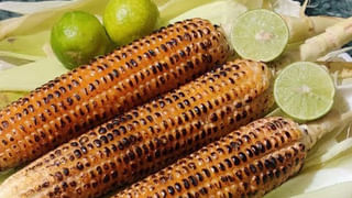 Metro rail: మెట్రో ప్రయాణికులకు గుడ్‌ న్యూస్‌.. ఇకపై టికెట్‌ పొందడం మరింత సులువు..