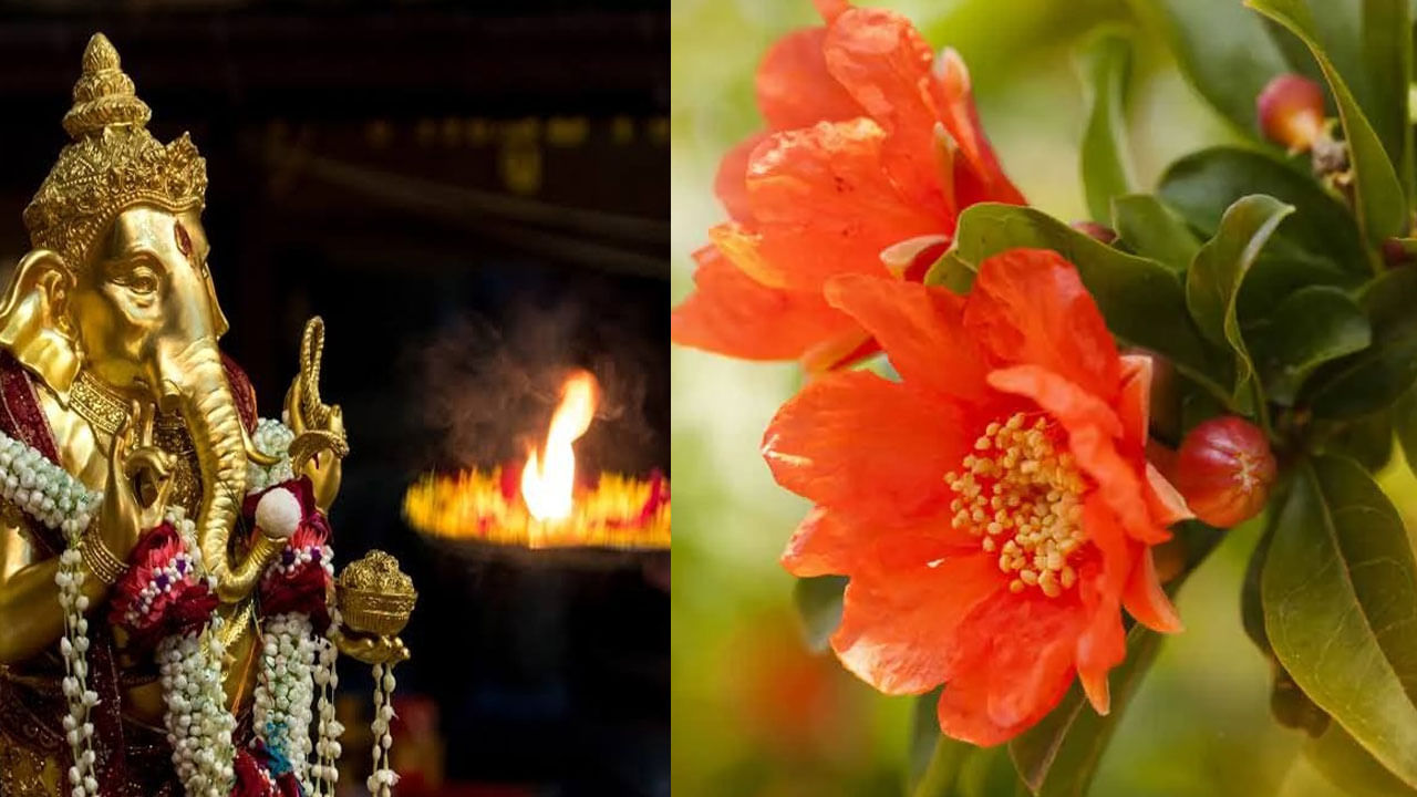 Ganesh Puja: బుధవారం ఈ పూలతో వినాయకుడిని పూజిస్తే మీ కష్టాలన్నీ తొలగిపోతాయట..!