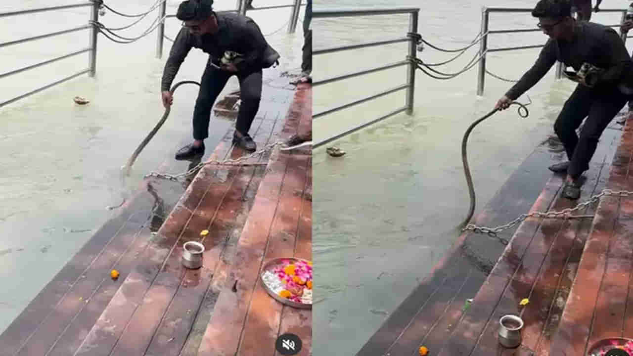 Ganga Ghat Viral Video: హరిద్వార్‌లోని గంగా ఘాట్ వద్ద ప్రత్యక్షమైన పాము..! ఆ తర్వాత ఏం జరిగిందంటే..!!