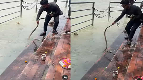 Ganga Ghat Viral Video: హరిద్వార్లోని గంగా ఘాట్ వద్ద ప్రత్యక్షమైన పాము..! ఆ తర్వాత ఏం జరిగిందంటే..!!