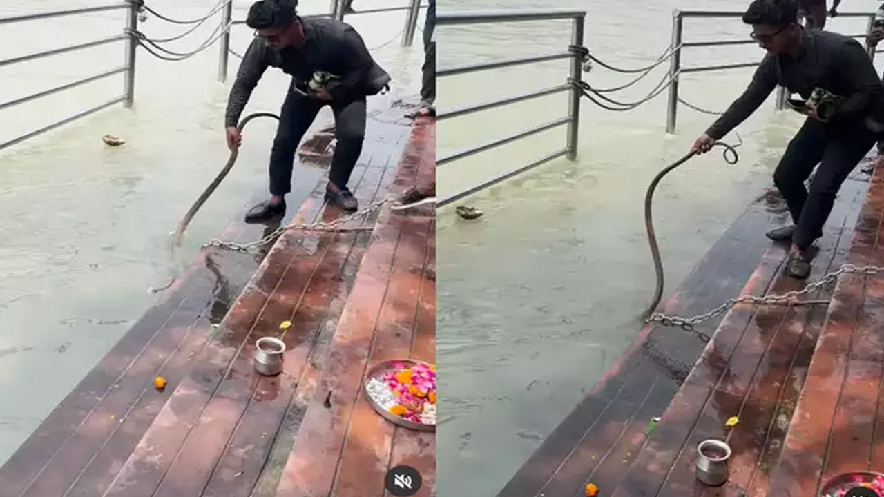 Ganga Ghat Viral Video: హరిద్వార్‌లోని గంగా ఘాట్ వద్ద ప్రత్యక్షమైన పాము..! ఆ తర్వాత ఏం జరిగిందంటే..!!